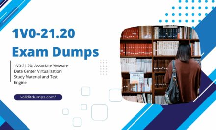 Pass VMware 1V0-21.20 Exam in First Attempt with Practice 1V0-21.20 Exam Dumps! (Updated)
